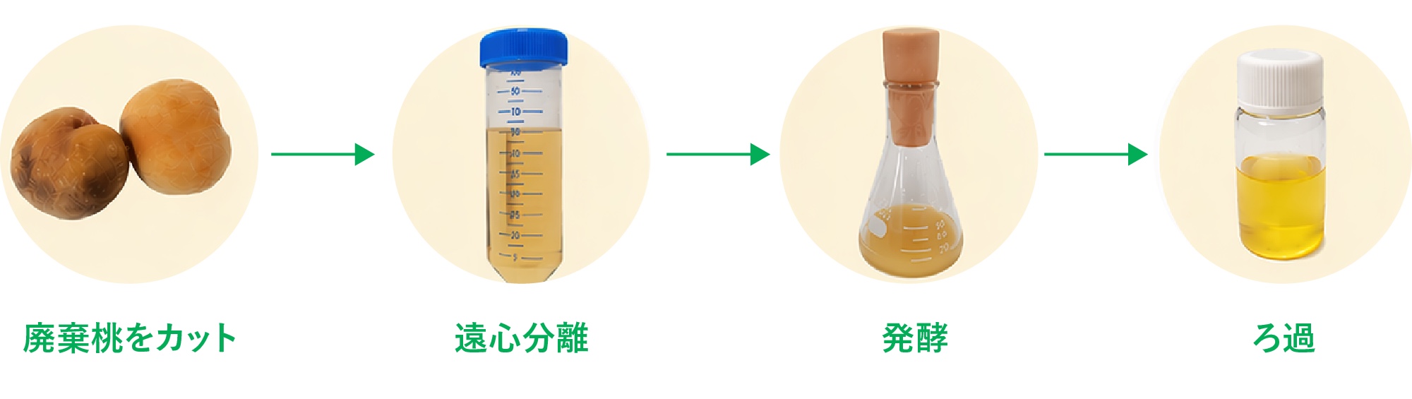 廃棄桃（果汁）を利用したバイオエタノールの製造工程